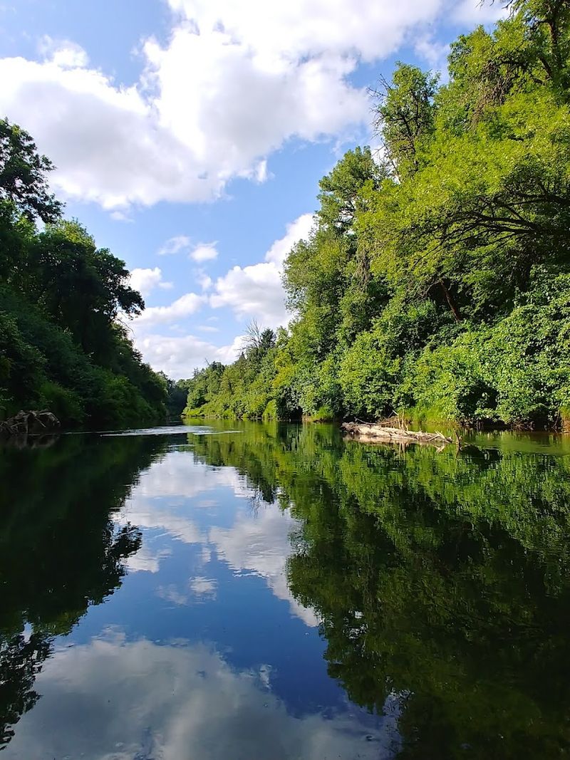 Yamhill County's Scenic Backroads: A Spring Drive to Remember