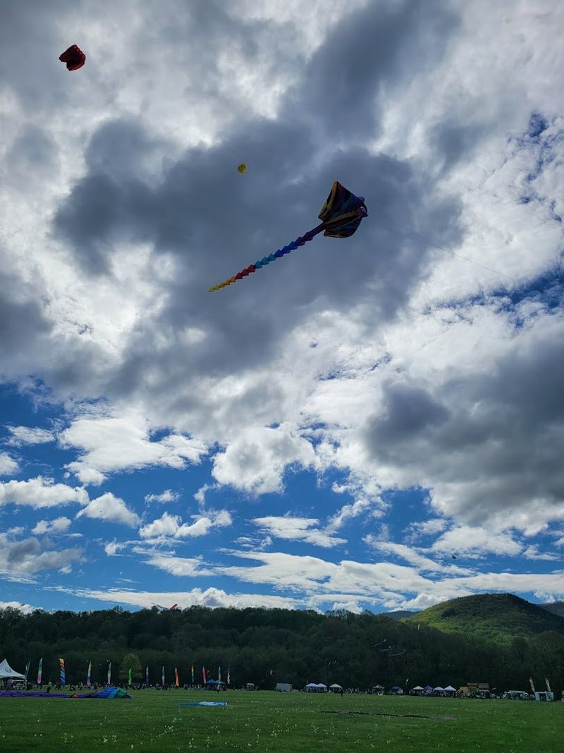 Giant Kites in Action: The Shapes That Stop You in Your Tracks