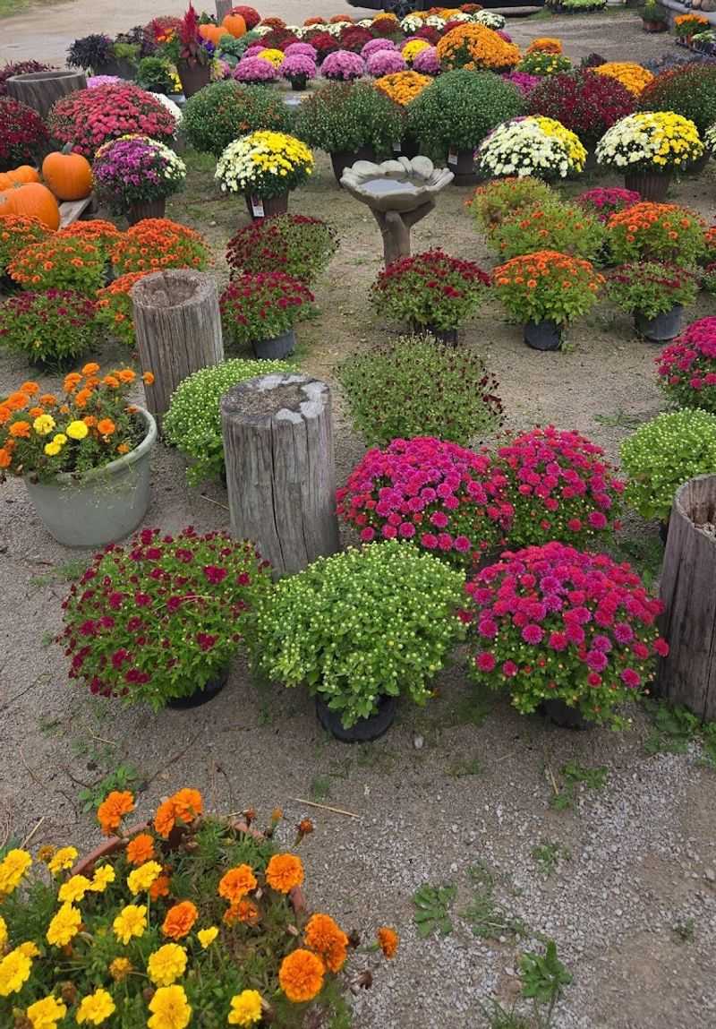 Flowers, Trees, And Shrubs Variety That Turns Browsing Into A Cart Mission