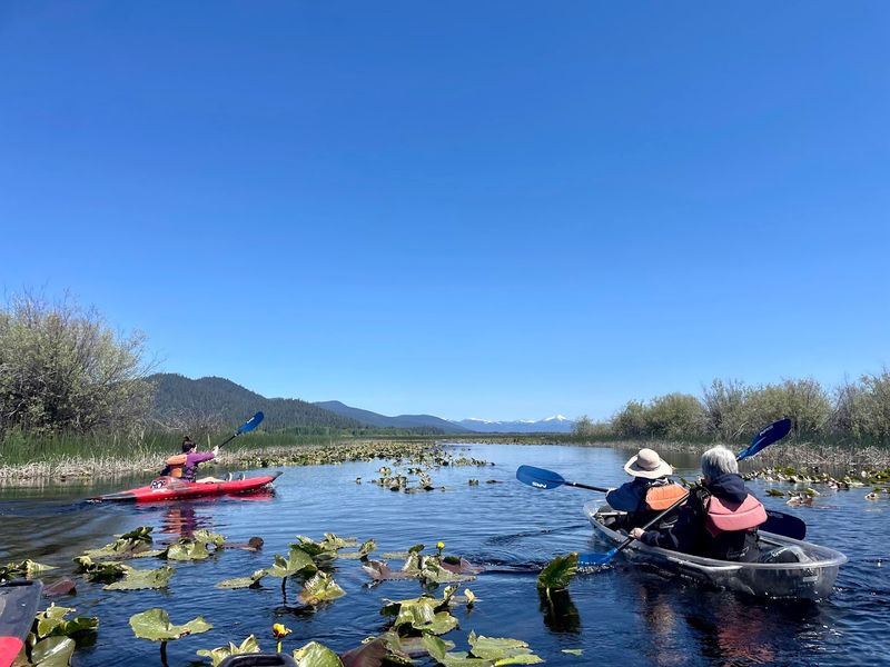 Suspension Bridges Add a Whole New Layer of Thrills