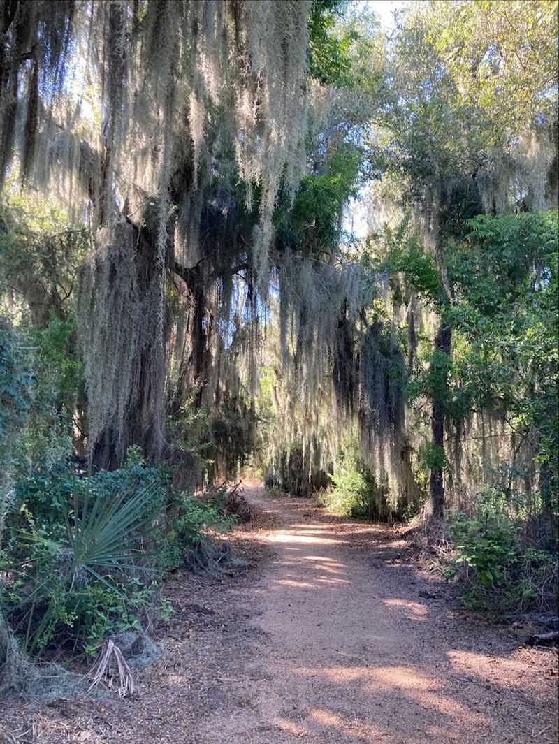 12 Miles of Trails Through Subtropical Wilderness