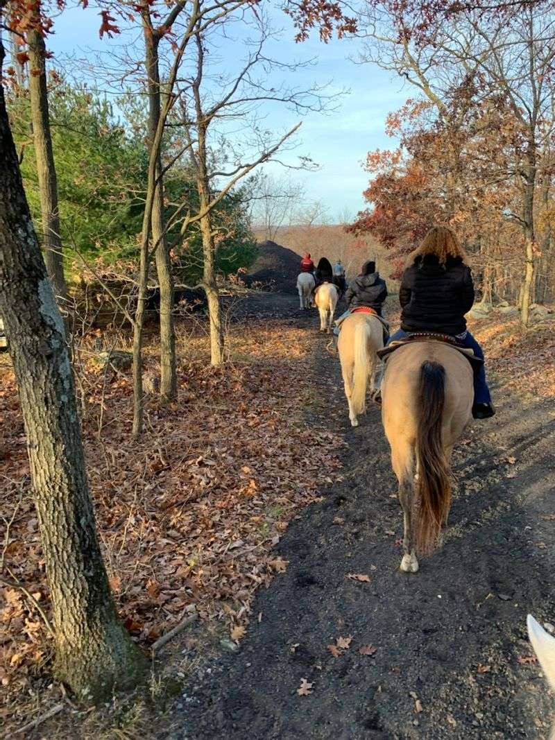 The Night Ride Experience That Nobody Forgets