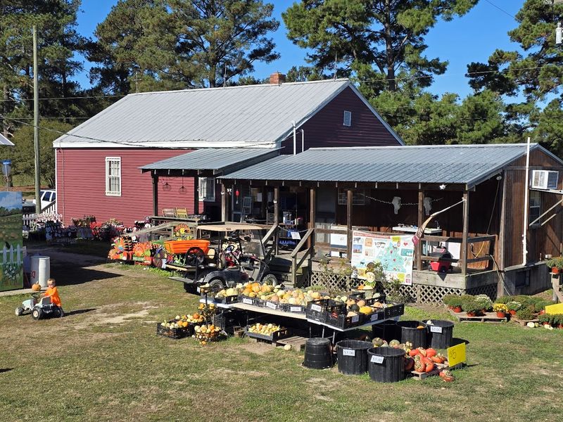 Homemade Chicken Pot Pie Worth Canceling Dinner Plans