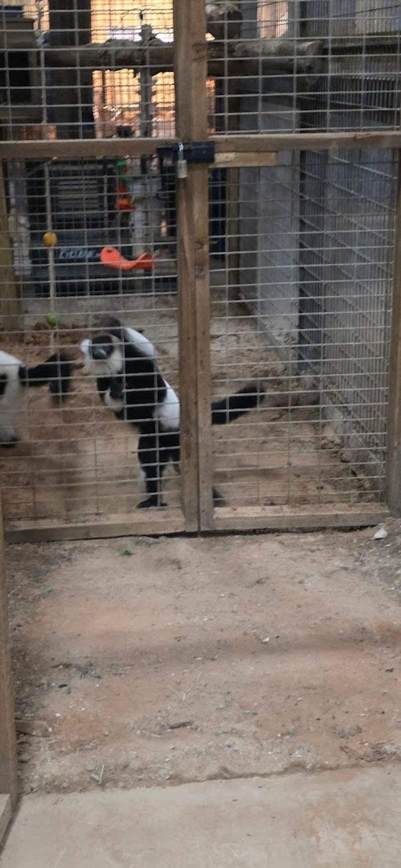 The Two-Hour Guided Tour