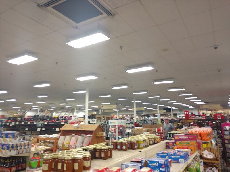 Household Basics Priced to Keep Your Budget Happy