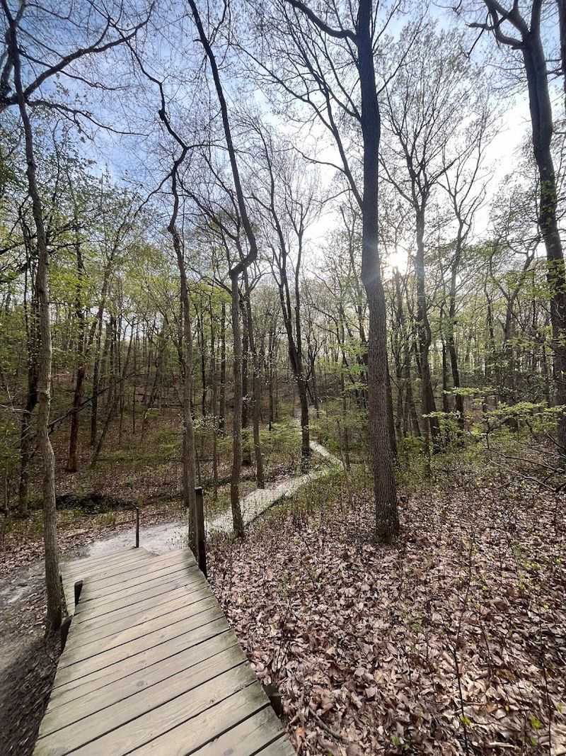 Cheesequake State Park, New Jersey