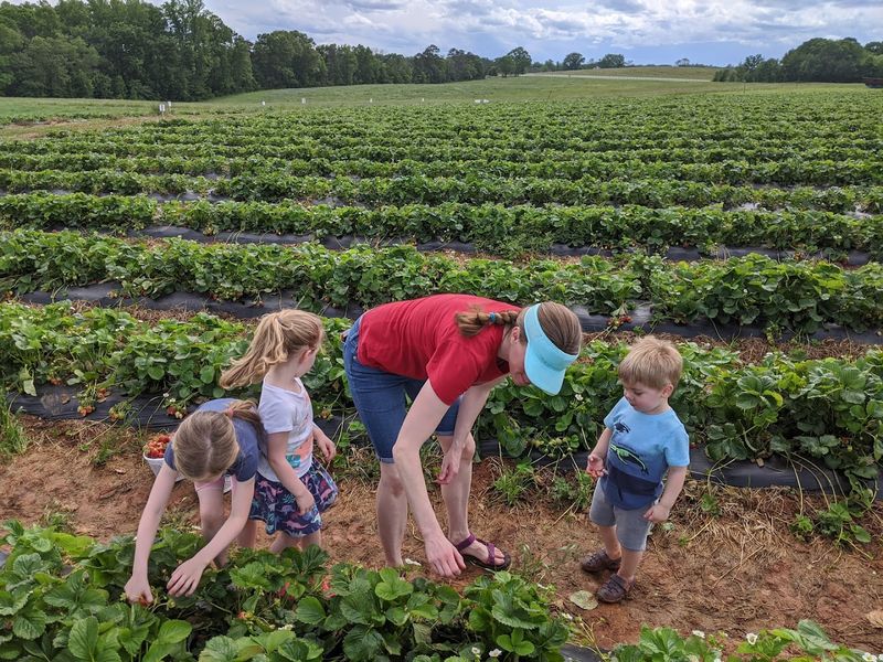 The Farm Store Packed With Goods You Cannot Find Anywhere Else