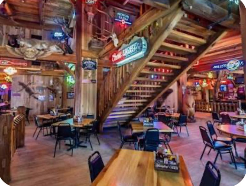 Live Music And Entertainment That Elevate Every Visit