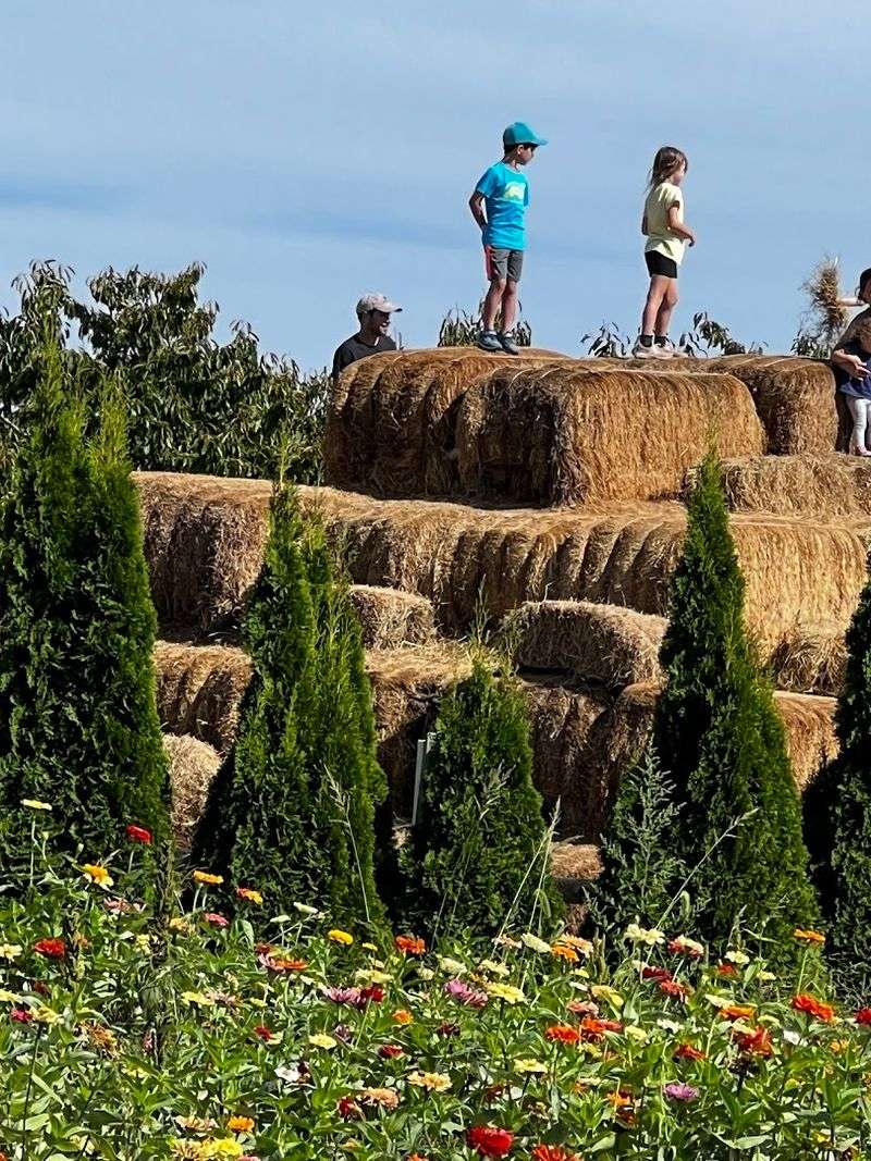 Alstede Farms (Springtime and Easter Festival) - Chester, NJ
