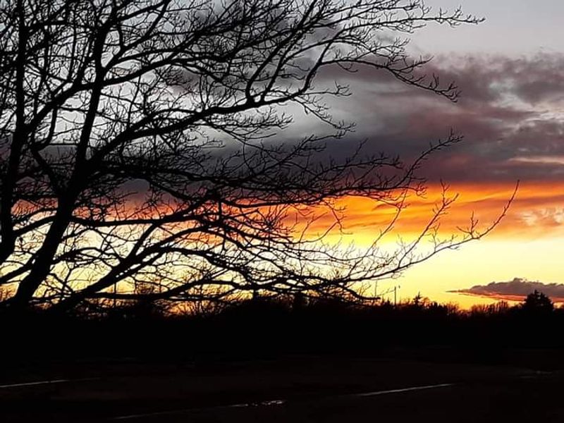 Wild Horse Creek Cave