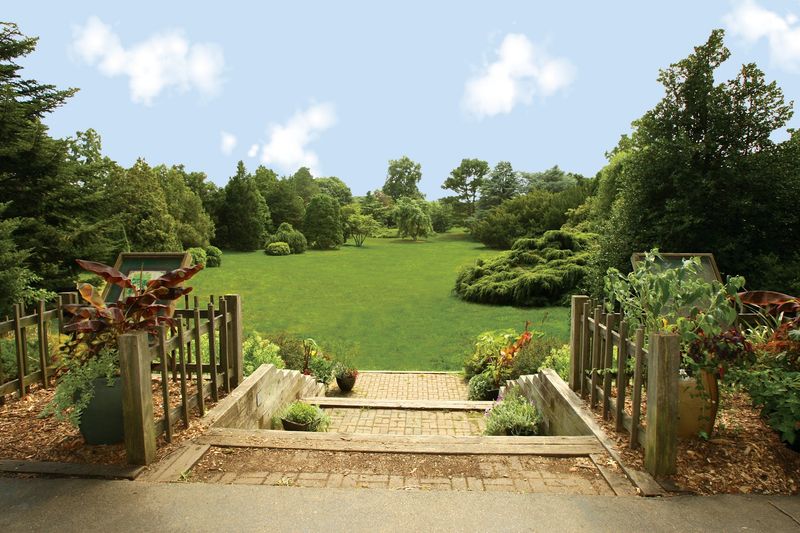 The Donald B. Lacey Display Garden in Full Bloom