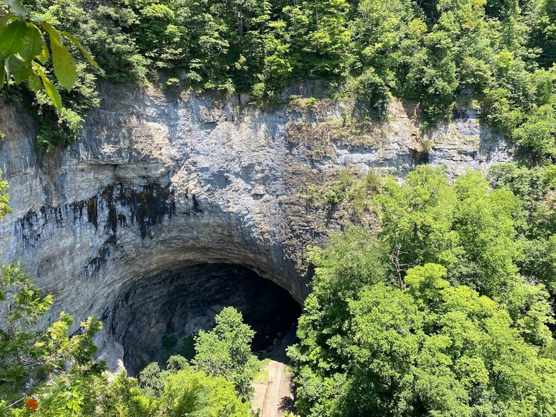 Natural Tunnel State Park in Scott County