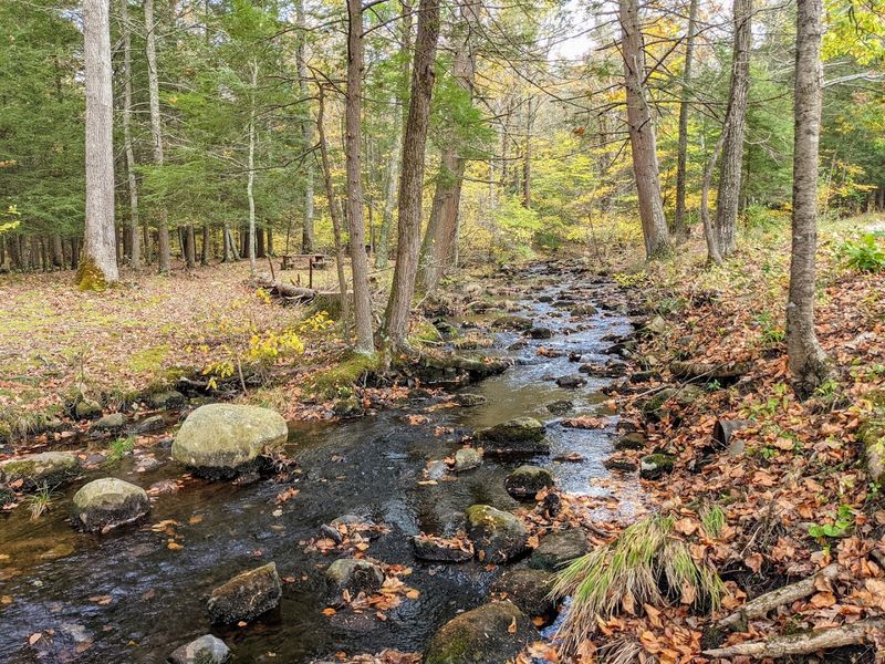 Stokes State Forest, New Jersey