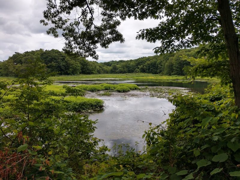 Fishing Spots Worth Every Early Morning