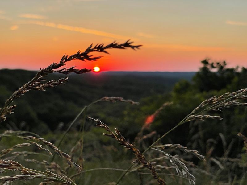 Sunset Photography That Belongs on a Gallery Wall