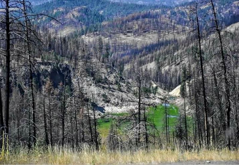 The Rugged Beauty of Strawberry Mountain Wilderness