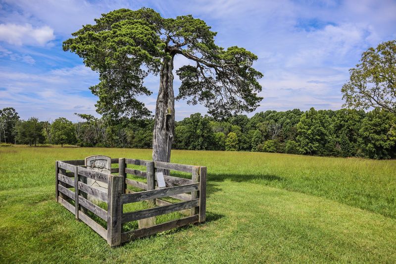 The Surrender Triangle: Sacred Ground of Farewell