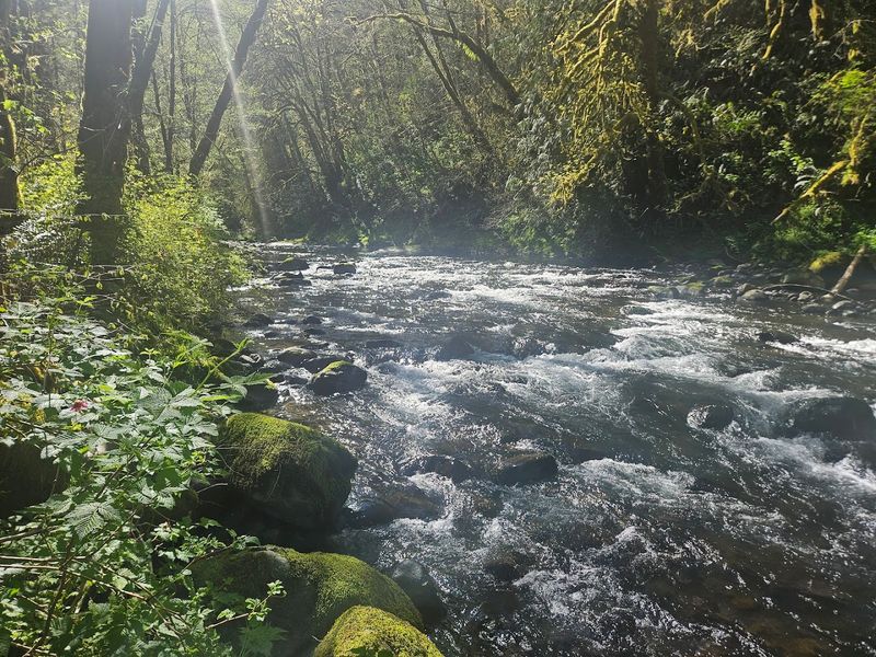 Fishing, Creeks, and the Water That Runs Through It All