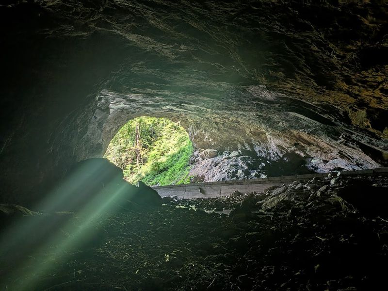 Stargazing, Wildlife, and the Surprisingly Dark Skies Above