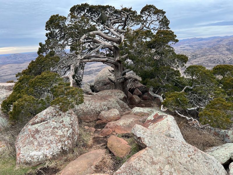 Rock Climbing Draws a Different Kind of Adventurer