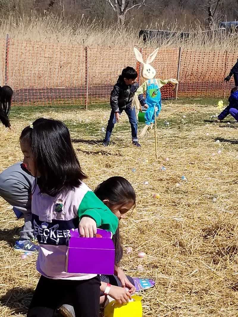 Oasis Family Farm (Easter Egg Hunt) - Robbinsville Township, NJ