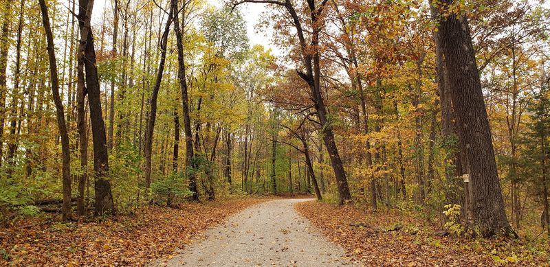 Nearby Attractions That Round Out the Day Trip