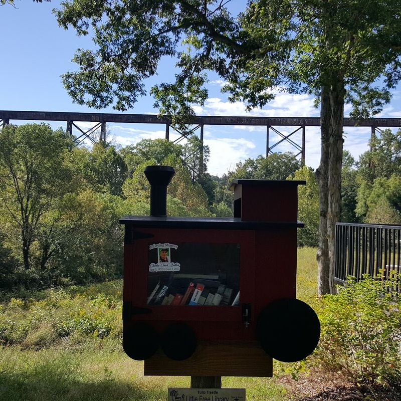 The Observation Deck That Changes Everything About the Visit
