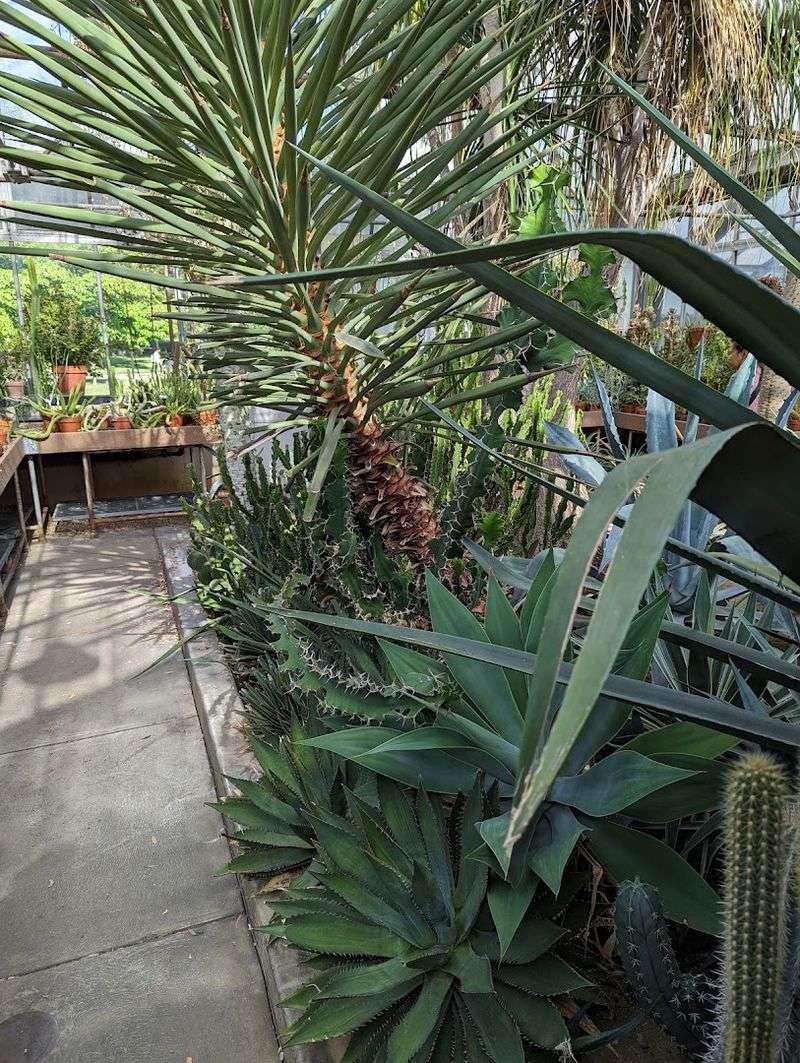 A Hogwarts-Like Atmosphere That Feels Magical