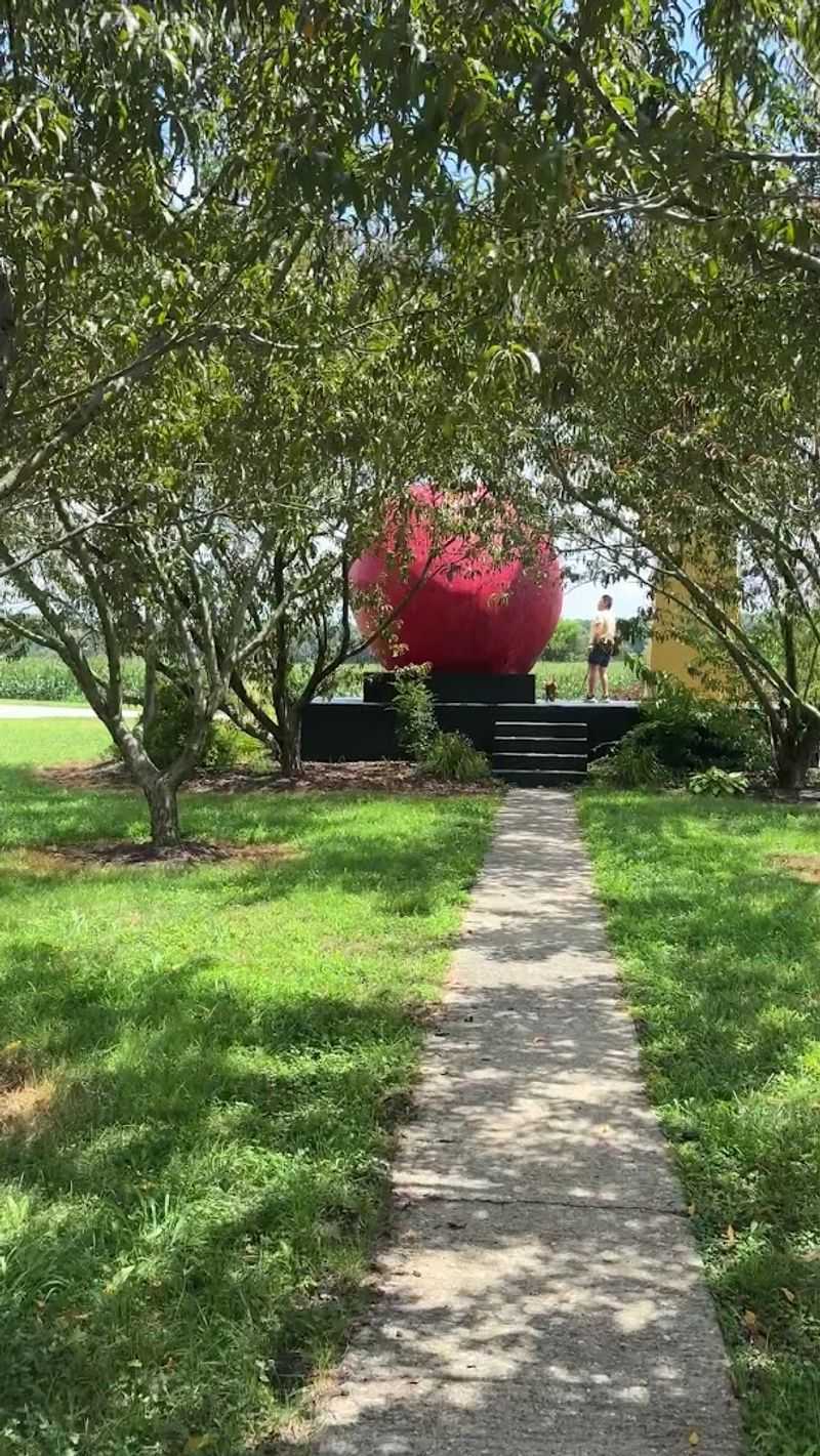 Refreshing Cider Slushies and Creamy Ice Cream