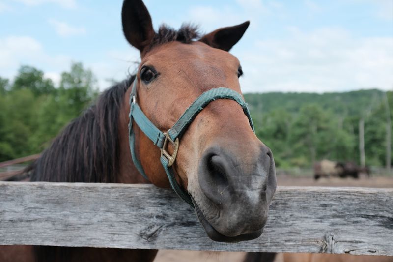 Family-Friendly Fun That Works for Every Age Group