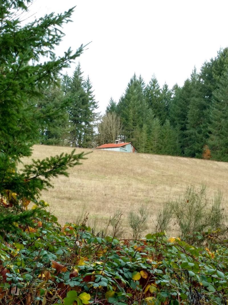 Tips for Planning Your Visit