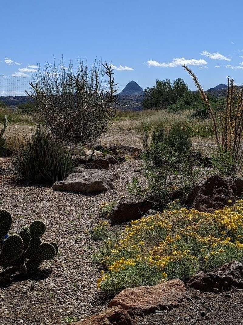 The Chihuahuan Desert Nature Center: Where the Landscape Gets an Explanation