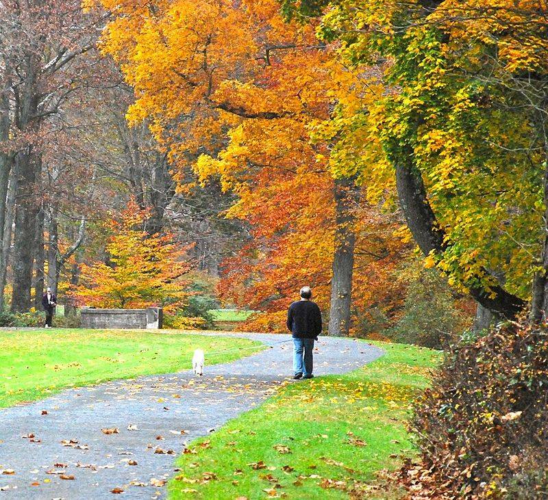 Natirar Park and Its 247 Acres of Pure Calm