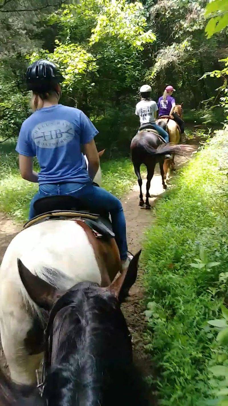 Trail Rides That Suit Every Skill Level