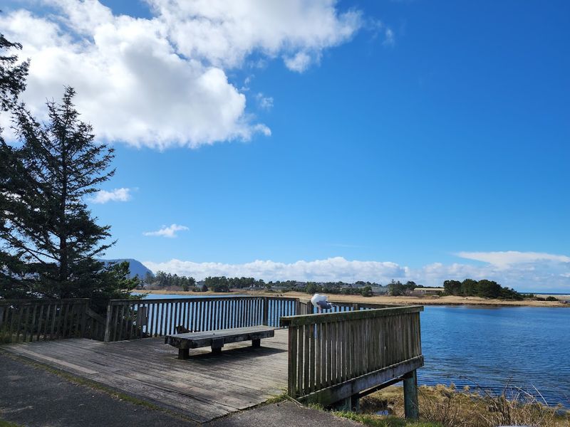 The Necanicum River Estuary Is a Wildlife Gem Worth Knowing