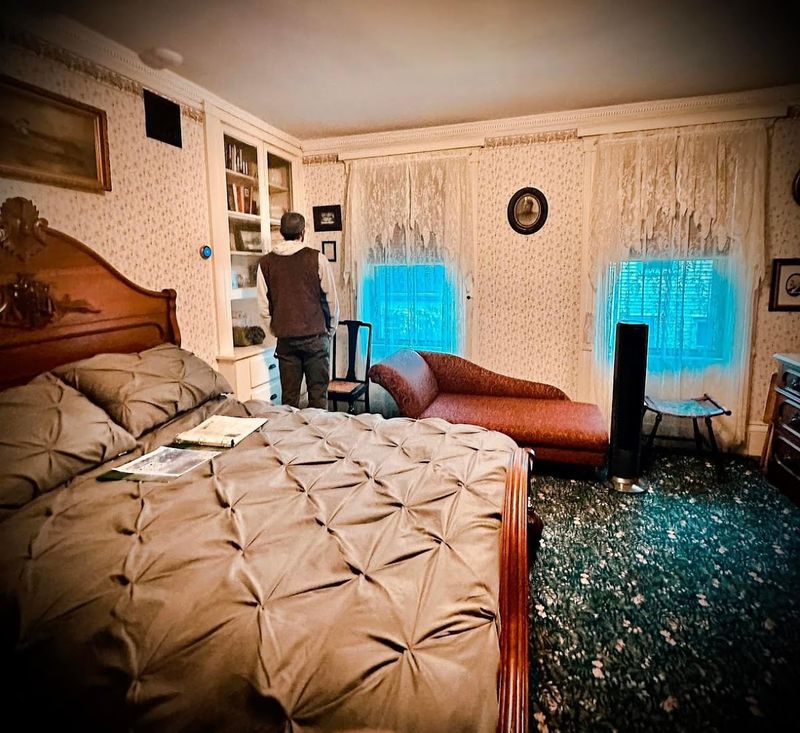 Day Tour Versus Night Tour And Why They Feel Totally Different