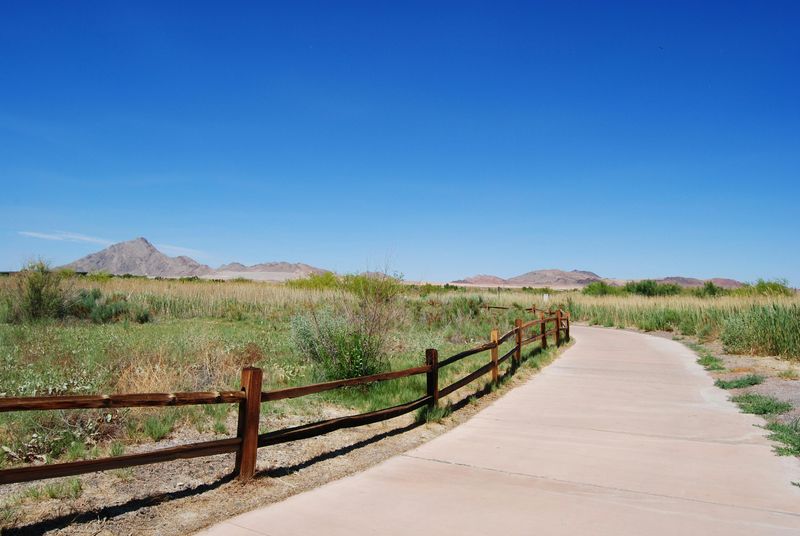 Why This Rule Makes More Sense Once You Think Like A Local Driver