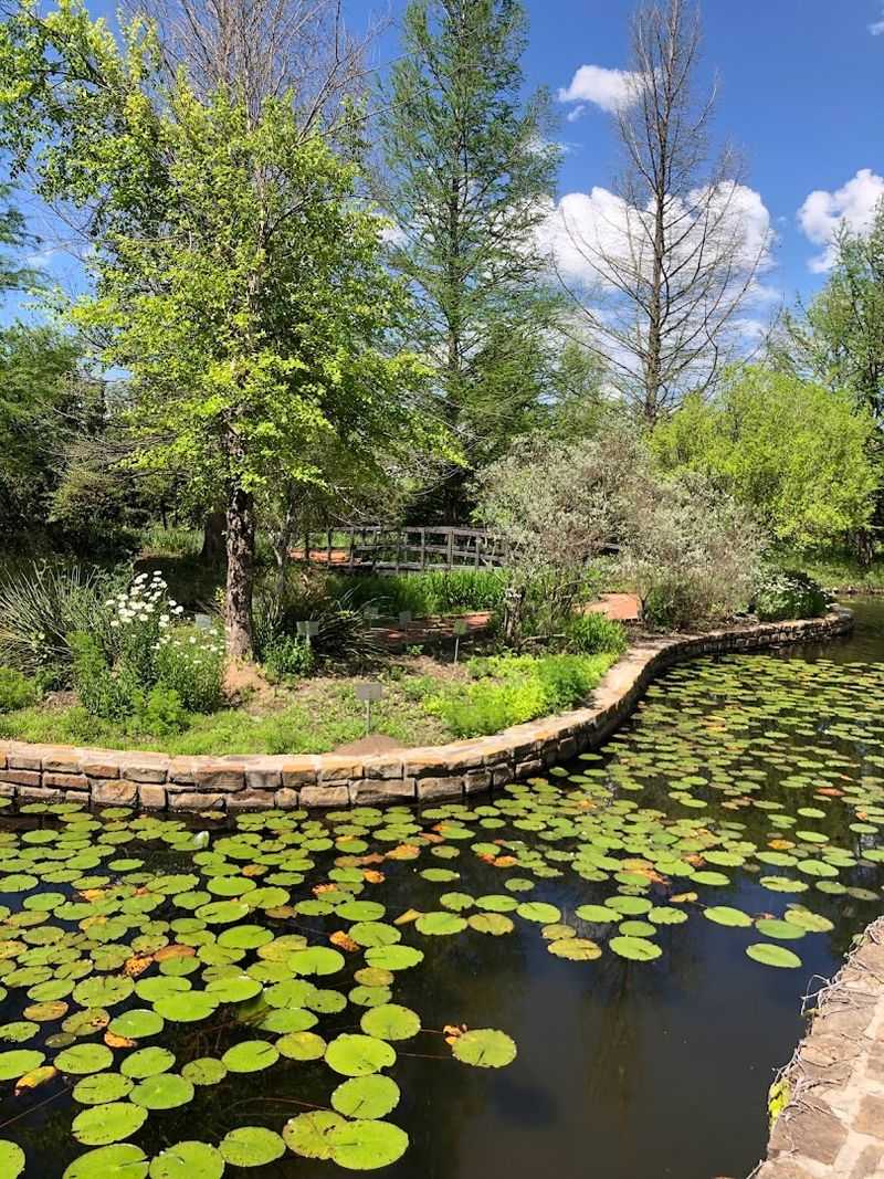 Practical Tips for Planning Your Waterfront Cherry Blossom Visit