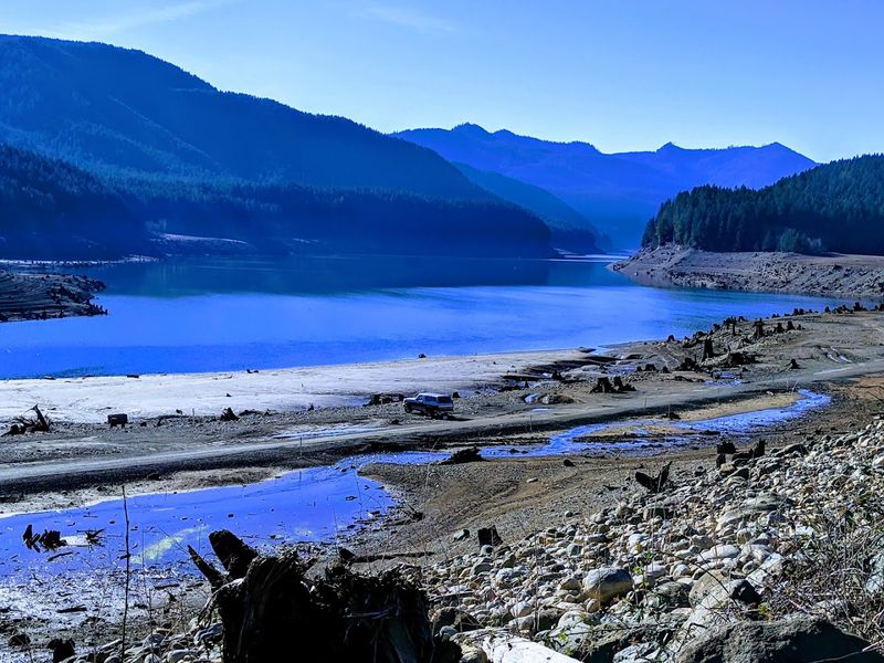 The Wildfire That Almost Erased Everything