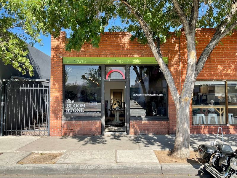 Where to Find the Best Real-Time Bloom Updates Before You Go