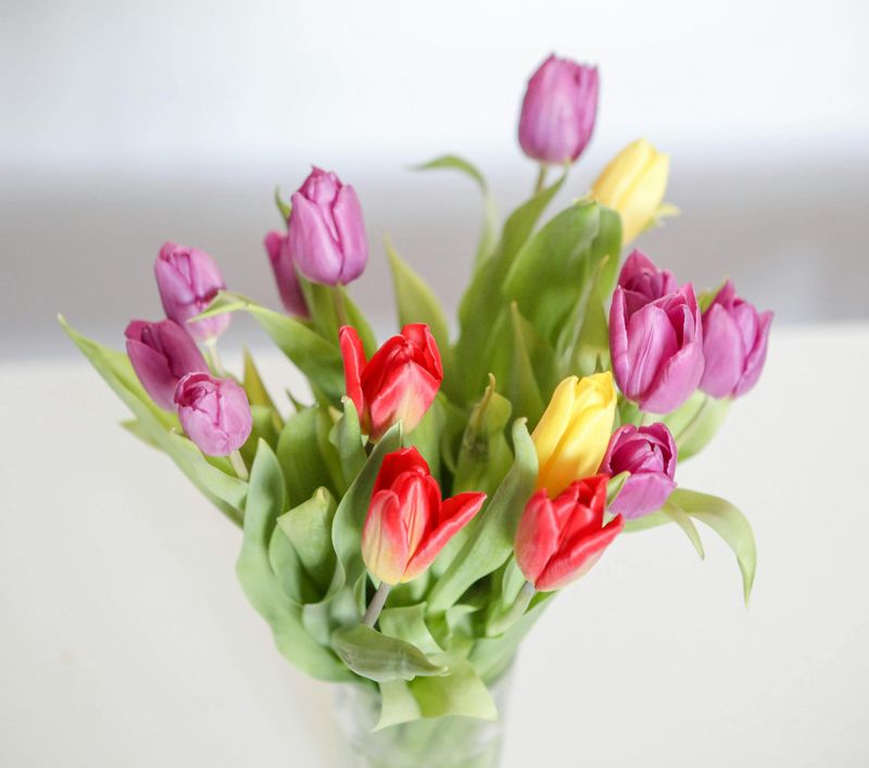 Leave With A Bouquet And A Camera Roll You’ll Rewatch