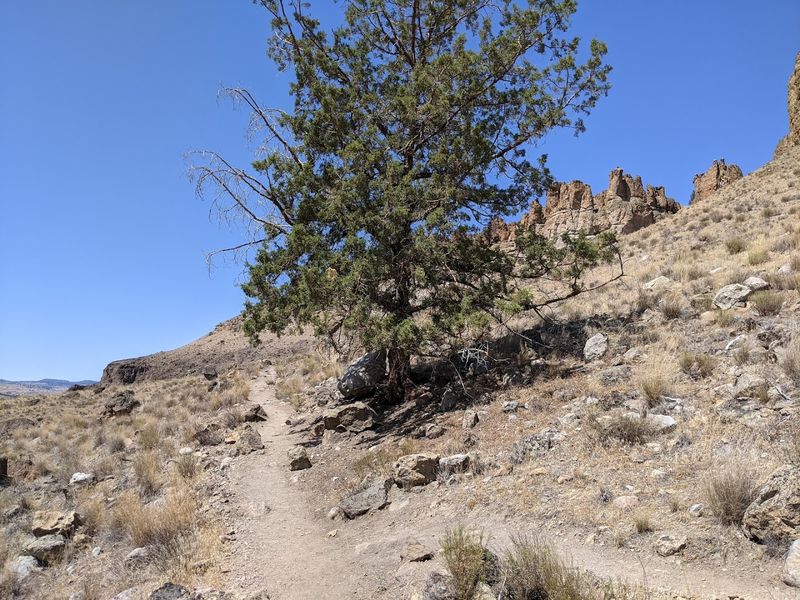 Why This Trail Deserves a Spot on Your Oregon Bucket List