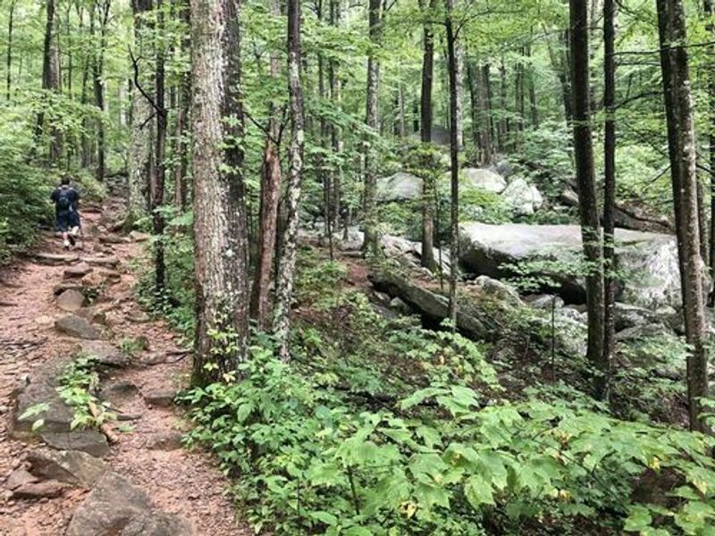 Trail Length, Elevation, and What to Realistically Expect