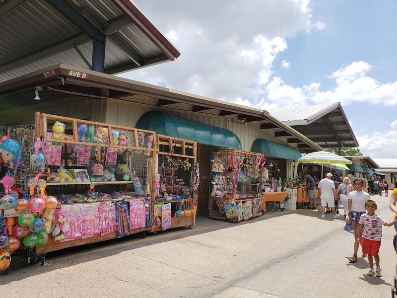 Pet-Friendly Atmosphere