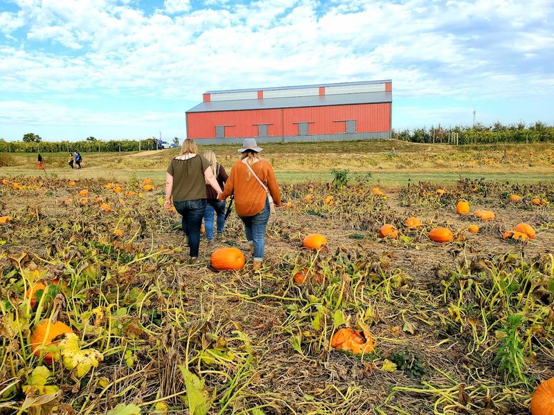 Rich Family History Across Eight Generations of Farming
