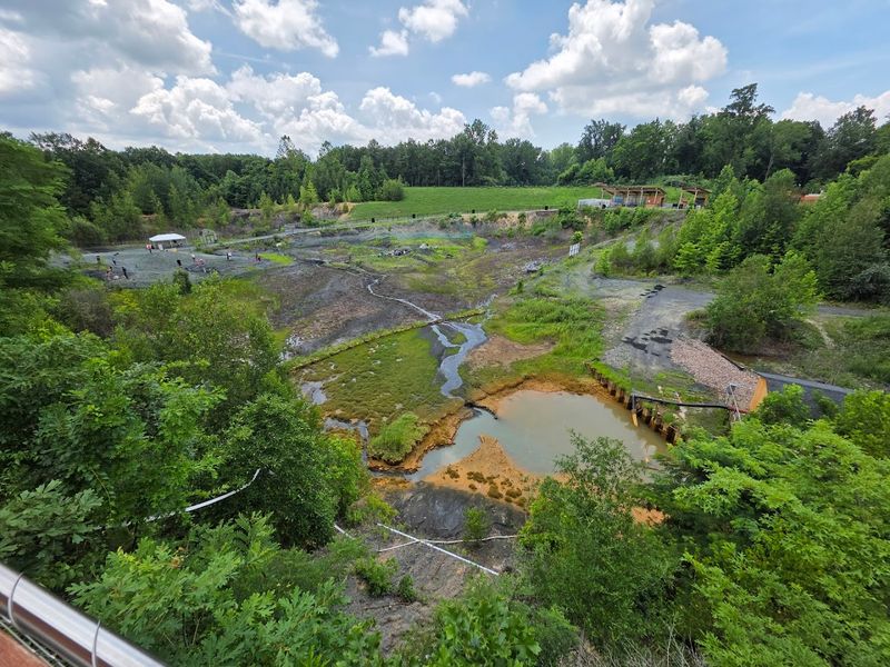 Discovery Forest and Nature Trails: 1.6 Miles of Wild Context