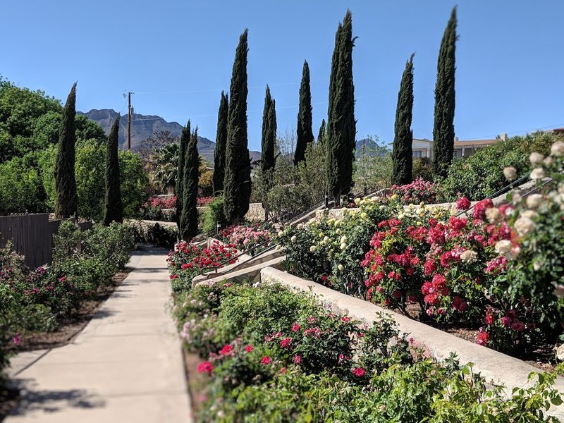 El Paso Municipal Rose Garden