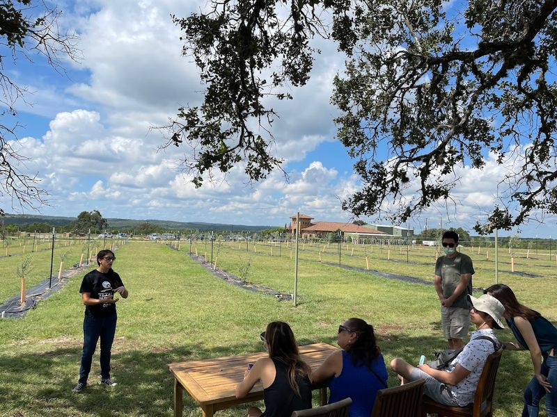 Private Events in a One-of-a-Kind Hill Country Setting