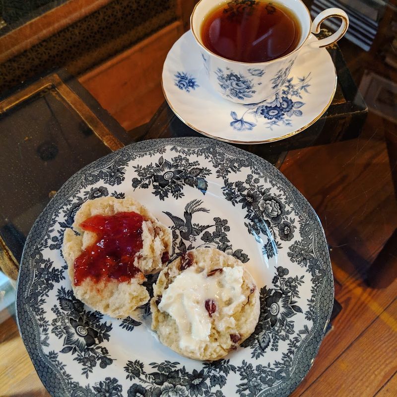 Lady Magpie’s Tea & Curiosities
