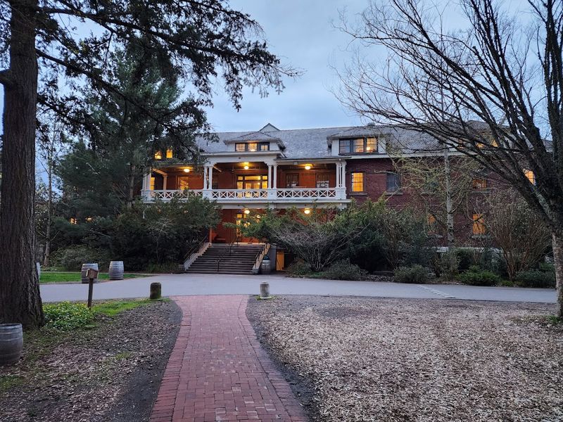 The Concert Venue and Live Music